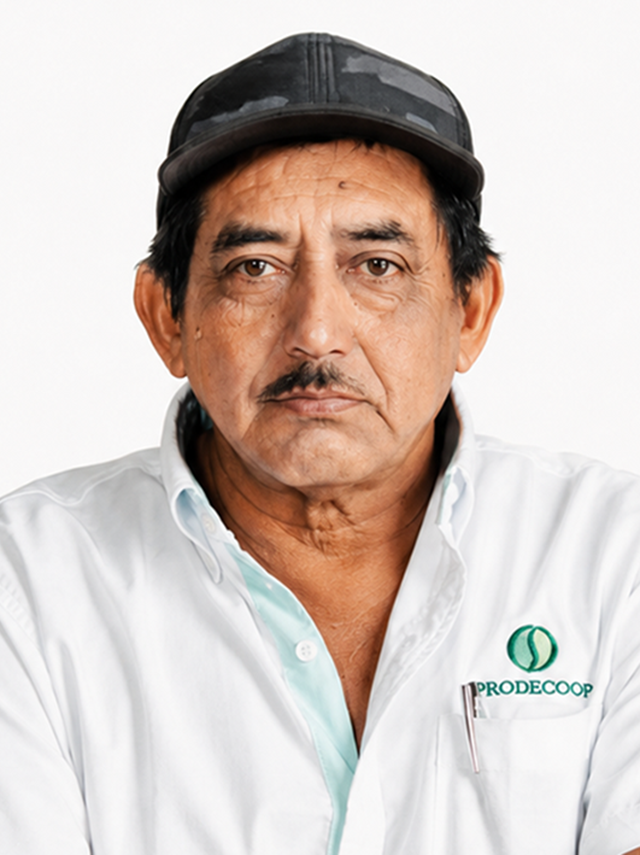 Ismael Campos Hernández — Vicegerencia de Proceso Industrial